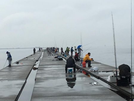 令和元年初日はポーアイで